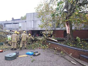 Supporting image for story: Tree falls onto pedestrian in Market Drayton