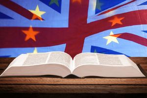 Brexit - pick your own definition