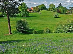 Supporting image for story: Mayor's vow to save green belt as review launched into Black Country Plan