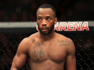 Supporting image for story