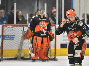 Supporting image for story: Tired Telford Tigers suffer defeat in overtime to Steeldogs