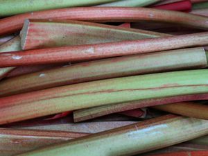 Tesco has reported that demand for forced rhubarb has rocketed by 200% compared with the same time last year. (PA)