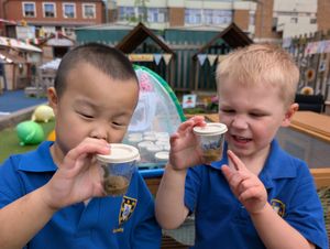 Checking out their growing caterpillars 4-year-olds Lucas Kwong and Freddie Meddows.