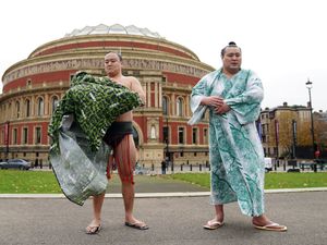 Supporting image for story: London to stage second professional Sumo event outside of Japan next October