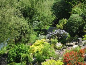 Supporting image for story: Shropshire gardens opening for charity