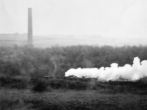 Supporting image for story: Days of steam in Telford's town park