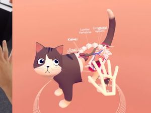 Supporting image for story