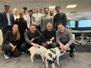 Could your business benefit from an animal encounter? Animal News Agency 