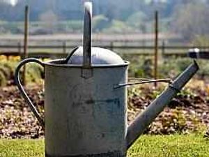 Supporting image for story: Allotment fees to soar 400%