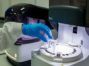 Supporting image for story: Four Covid-19 deaths recorded in hospitals in the Black Country and Birmingham 