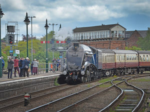 Supporting image for story: When and where to see one of Britain's fastest steam engines in Shropshire this week