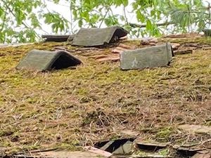 Supporting image for story: Loose roof tiles threaten safety of pupils and visitors to Wolverhampton's oldest building
