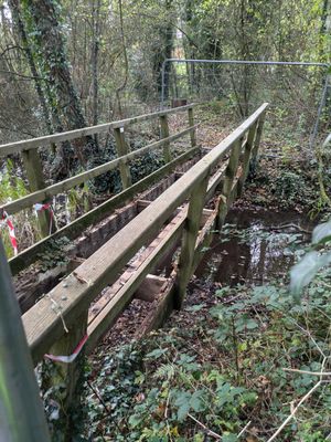 The Friends of Telford Town Park have been given £10,400 towards a £14,800 project to replace the Crannog pedestrian bridge.