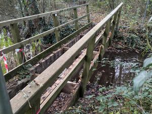 Supporting image for story: Broken bridge in Telford Town Park to be replaced after volunteer group receives large cash injection