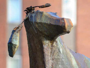 Supporting image for story: Yobs target Cannock Chase Council's deer