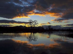 Supporting image for story: Flood alerts issued for parts of Shropshire after heavy rain