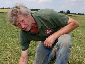 Supporting image for story: Warning as barbaric sheep rustlers target Shropshire farms