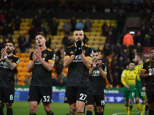 Supporting image for story: Wolves Fans' Verdict v Norwich: Fortunate three points