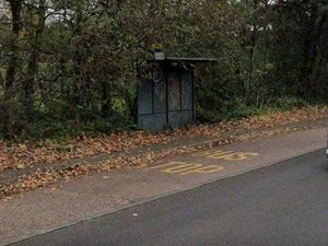 Supporting image for story: Cannock Chase passengers given warning to use or lose saved bus service 