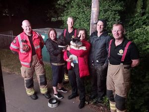 Firefighters brought Eddie to safety. Picture: Staffordshire Fire and Rescue Service. 