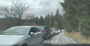 Cars line the route to Hafren Forest. Picture: Mat Edwards