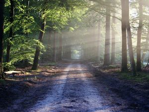 Supporting image for story: Andy Richardson: Stay at home, it saves lives