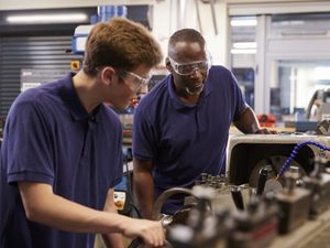 Supporting image for story: Ladder for the Black Country: Hundreds of apprenticeships on offer