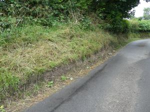 Supporting image for story: Huge farm vehicles a worry for the countryside 