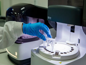 Supporting image for story: Four further Covid death in region's hospitals