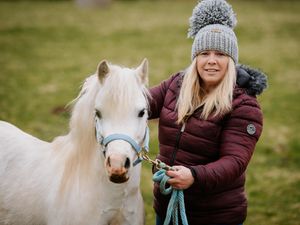 Supporting image for story: Plea for sponsors to help charity horse show