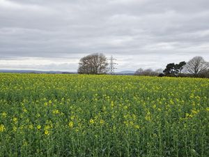 Supporting image for story: The unsung commuter town that offers a quiet respite away from West Midlands hubs Wolverhampton and Birmingham