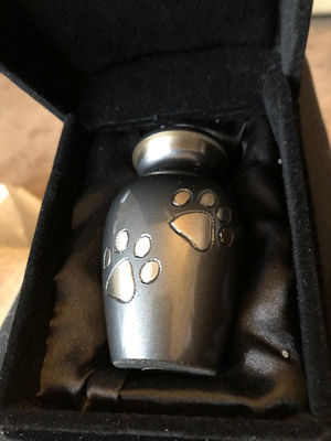 Spud's ashes. Photo: Lisa Murray-Lang/SWNS