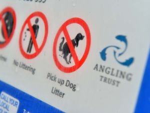 Supporting image for story: 'There is no excuse': Newport councillor calls for borough-wide campaign to tackle dog waste