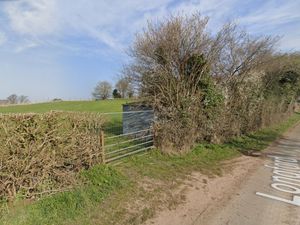 Supporting image for story: Former farm field to become dog exercise facility after permission granted