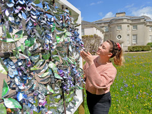Supporting image for story: Shugborough Estate blossoms with six new recycled artworks 