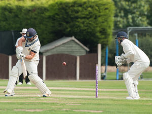 Supporting image for story: Will Parton urging care with bat