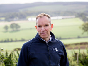 Supporting image for story: Milk your moments in tough times