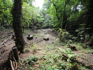 Supporting image for story: Woman, 84, in hospital after mugging at Black Country beauty spot