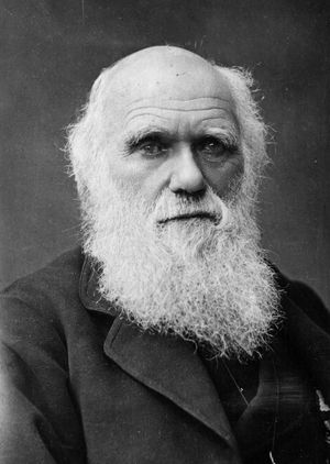 Charles Darwin. Photo: Cambridge University Library/PA Wire