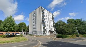 Google permission for use for LDR partners