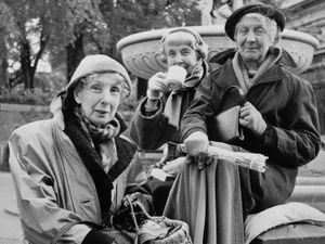 Supporting image for story: Day the Crosbies of Codsall finally got to see the Queen