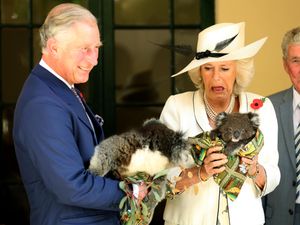 Supporting image for story: Royal tours of Australia: Security scares, a kiss and the baby republican slayer