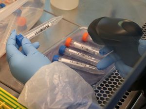 Supporting image for story: No new Covid deaths in the county