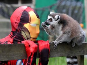 Supporting image for story: 11 incredibly low-key super powers people have been blessed with