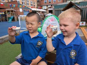 Supporting image for story: Kidderminster nursery explores the fascinating journey of butterflies