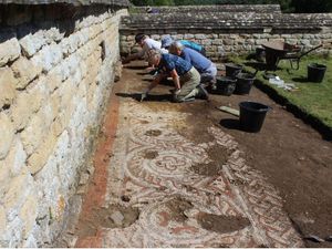 Supporting image for story