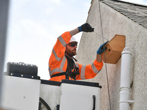 Supporting image for story: Openreach partners with RSPB to help swifts take flight in the Midlands