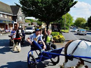 Supporting image for story: Mane event is caught by Star Witness snapper