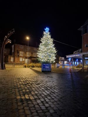 Craven Arms Christmas tree 2024