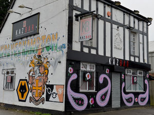 Supporting image for story: Wolverhampton bar receives zero hygiene rating after baby rat found